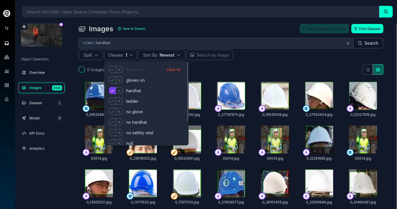 ai data image count
