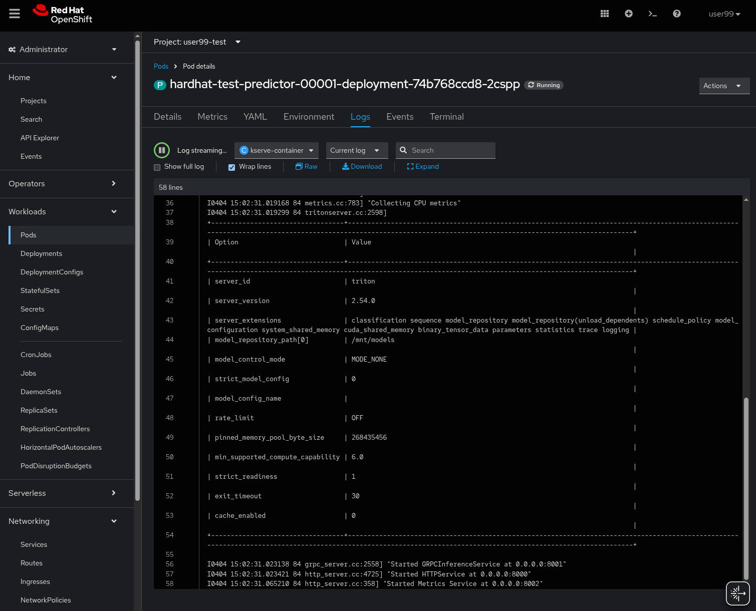ai deploy inference logs
