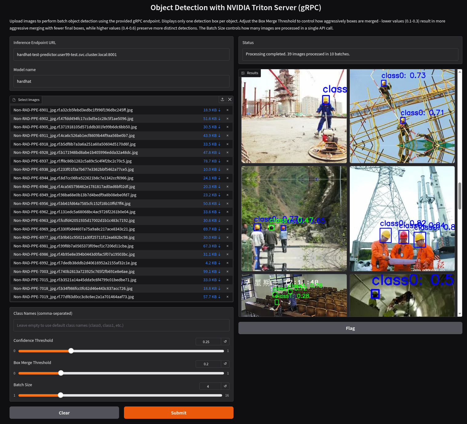 ai deploy test app inference